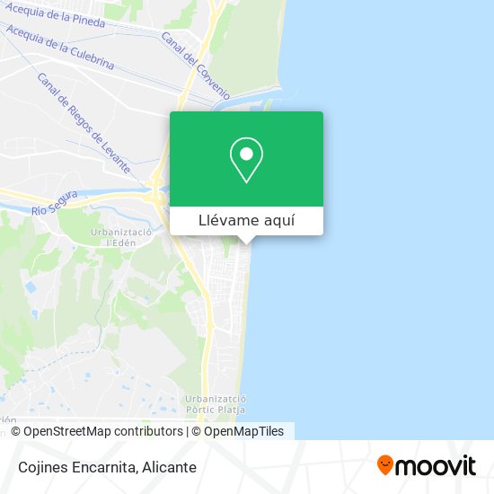 Mapa Cojines Encarnita