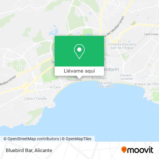 Mapa Bluebird Bar