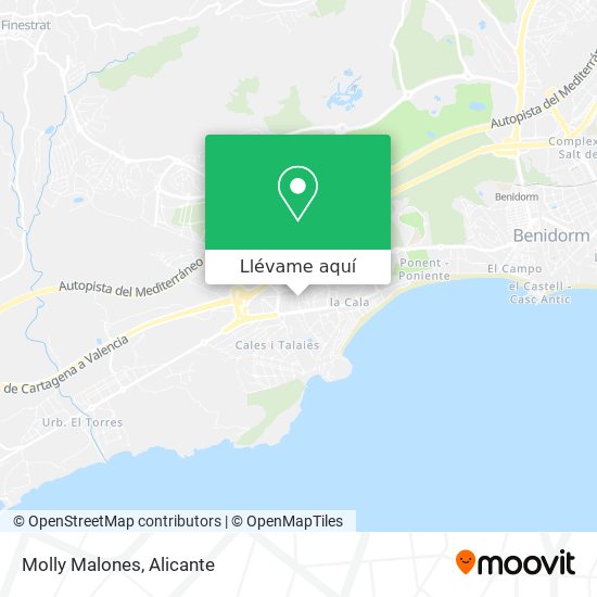 Mapa Molly Malones