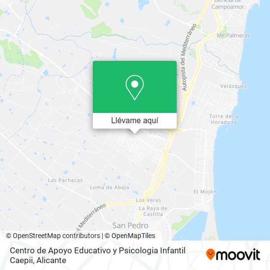 Mapa Centro de Apoyo Educativo y Psicologia Infantil Caepii