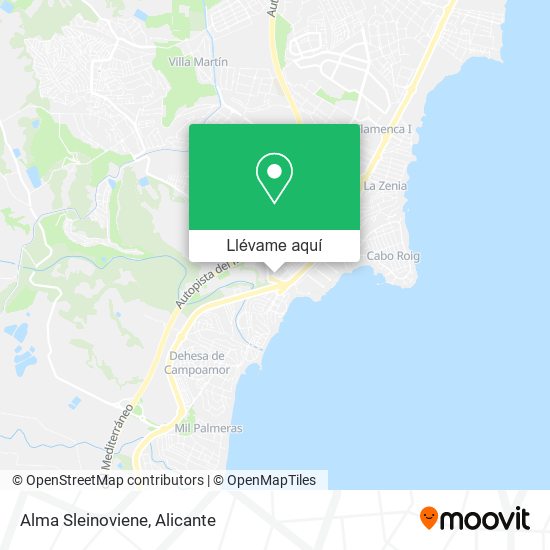 Mapa Alma Sleinoviene
