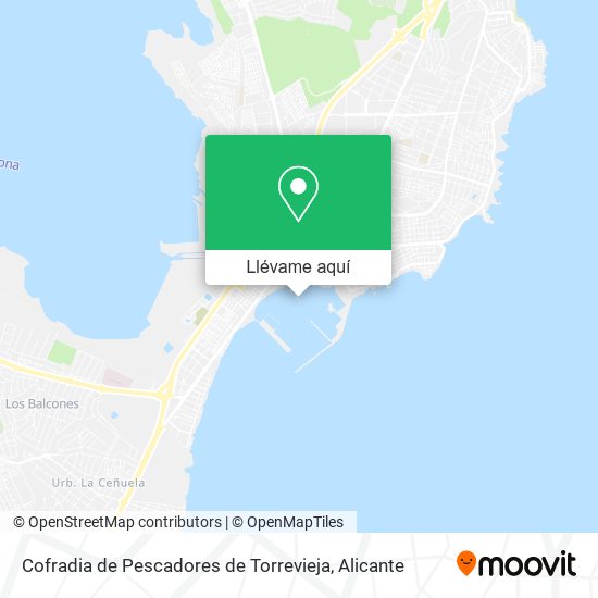 Mapa Cofradia de Pescadores de Torrevieja
