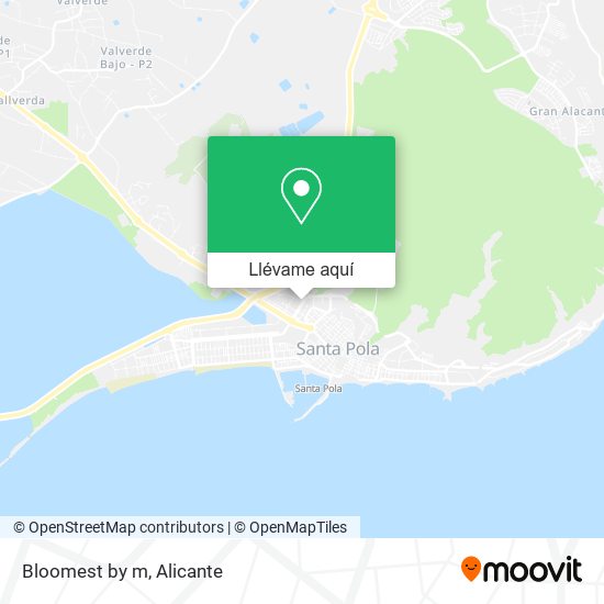 Mapa Bloomest by m