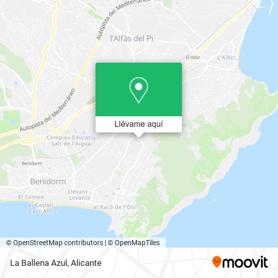 Mapa La Ballena Azul