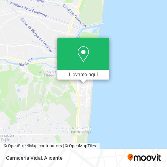 Mapa Carnicería Vidal