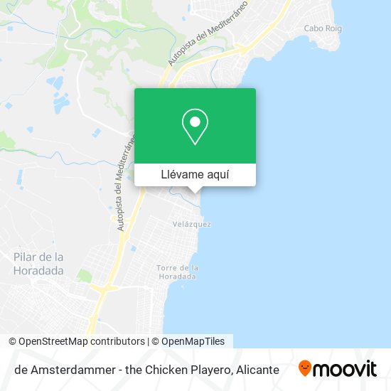 Mapa de Amsterdammer - the Chicken Playero