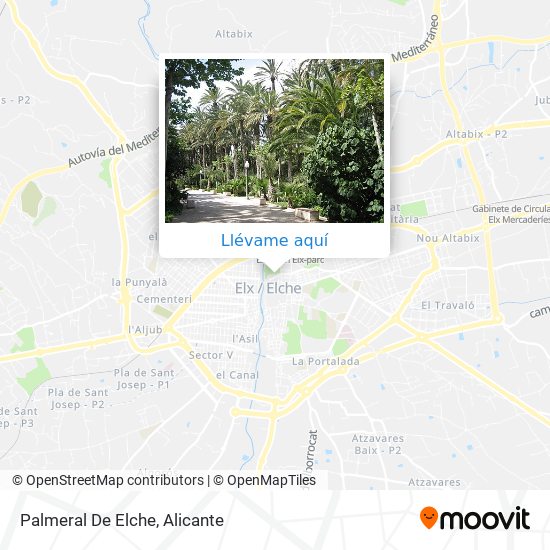 Mapa Palmeral De Elche