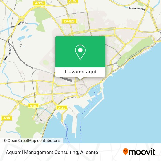 Mapa Aquami Management Consulting