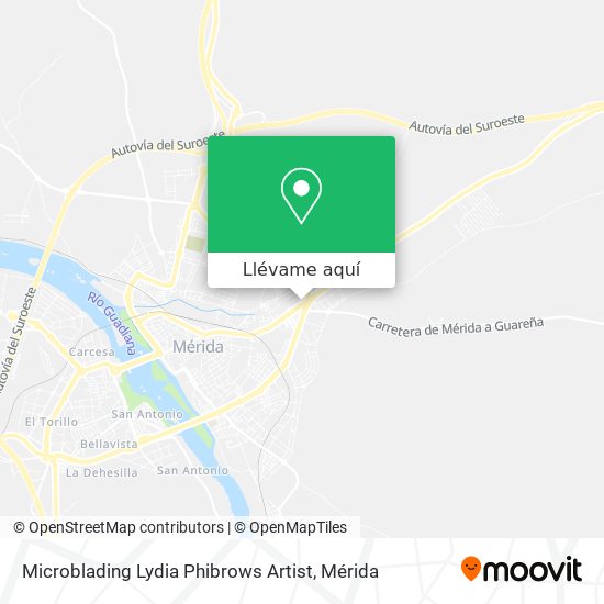 Mapa Microblading Lydia Phibrows Artist