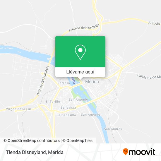 Mapa Tienda Disneyland