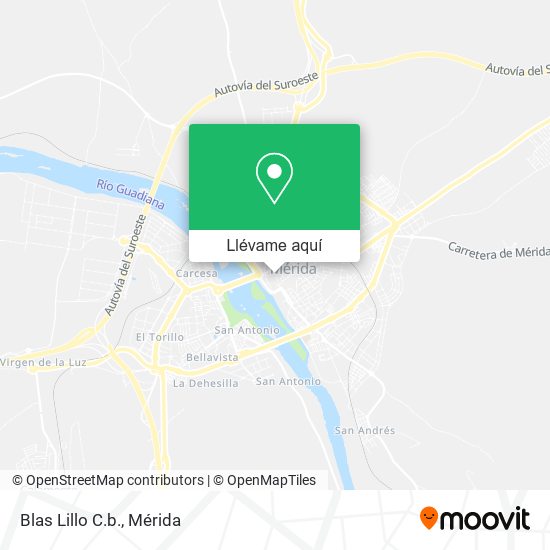 Mapa Blas Lillo C.b.