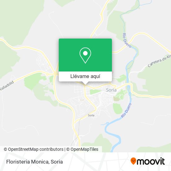 Mapa Floristeria Monica
