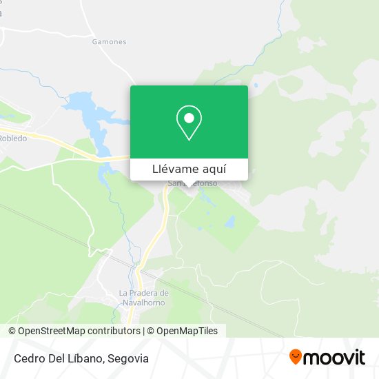 Mapa Cedro Del Líbano
