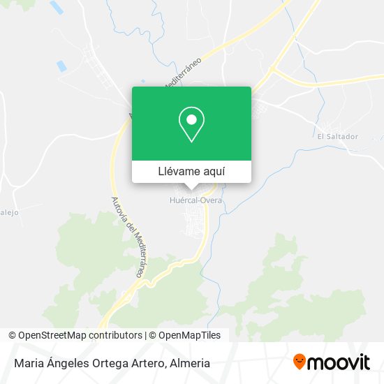 Mapa Maria Ángeles Ortega Artero