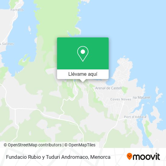 Mapa Fundacio Rubio y Tuduri Andromaco