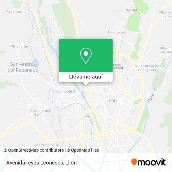 Mapa Avenida reyes Leoneses