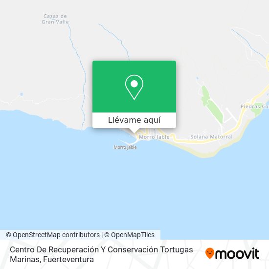 Mapa Centro De Recuperación Y Conservación Tortugas Marinas