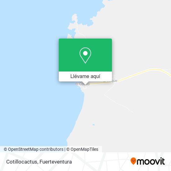 Mapa Cotillocactus