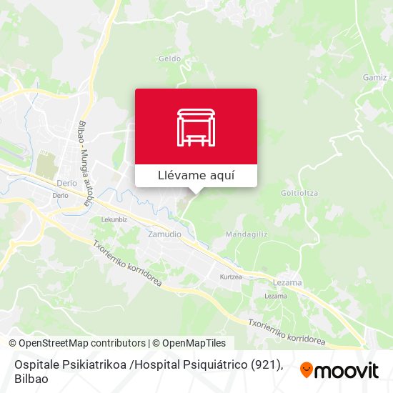 Mapa Ospitale Psikiatrikoa /Hospital Psiquiátrico (921)