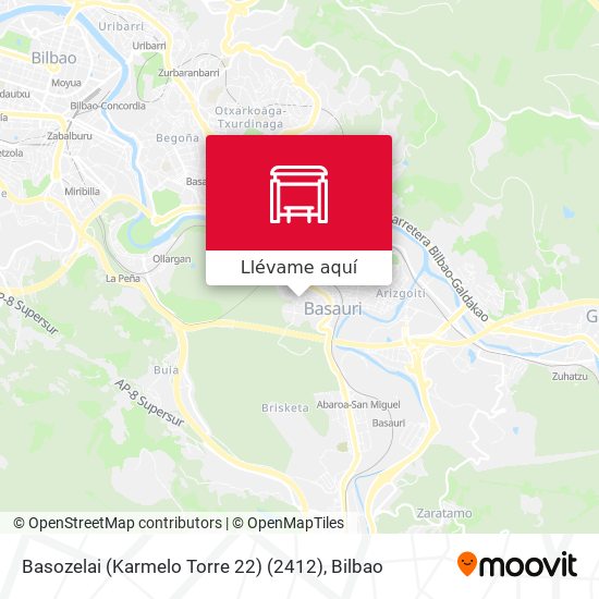 Mapa Basozelai (Karmelo Torre 22) (2412)