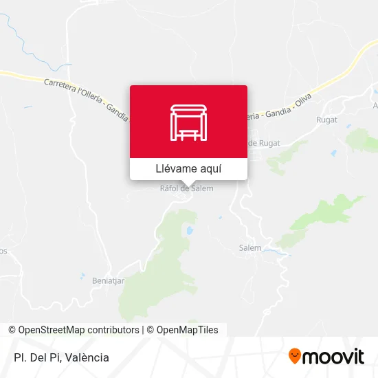 Mapa Pl. Del Pi