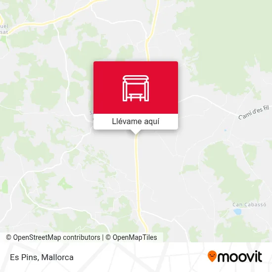 Mapa Es Pins