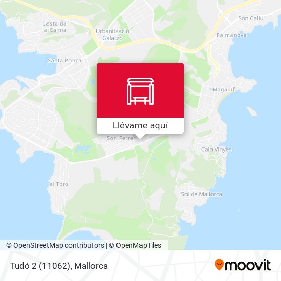 Mapa Tudó 2 (11062)