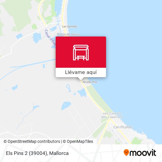 Mapa Els Pins 2 (39004)
