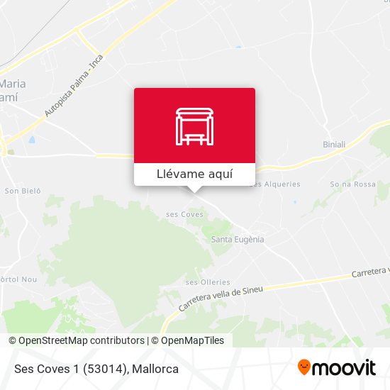 Mapa Ses Coves 1 (53014)