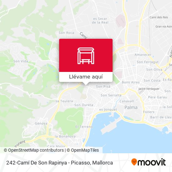 Mapa 242-Camí De Son Rapinya - Picasso