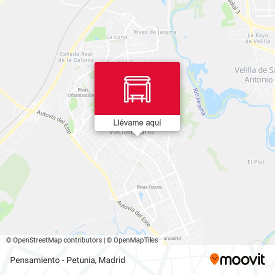 Mapa Pensamiento - Petunia