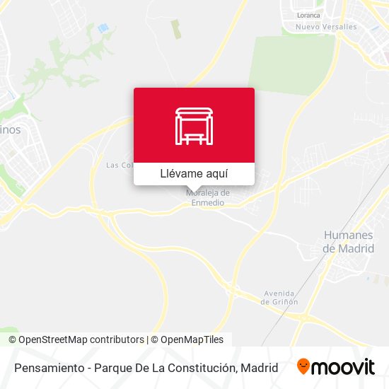 Mapa Pensamiento - Parque De La Constitución