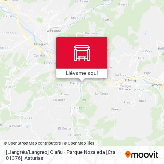 Mapa [Llangréu / Langreo]  Ciañu - Parque Nozaleda [Cta 01376]