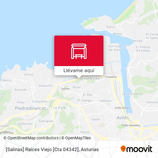 Mapa [Salinas]  Raíces Viejo [Cta 04342]