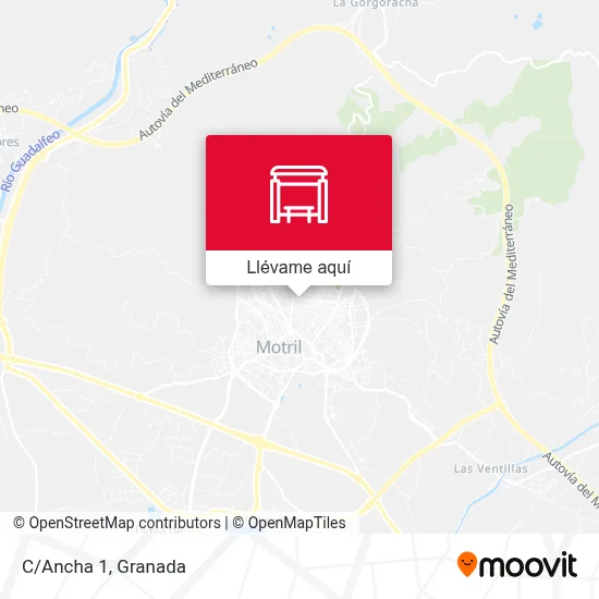 Mapa C/Ancha 1