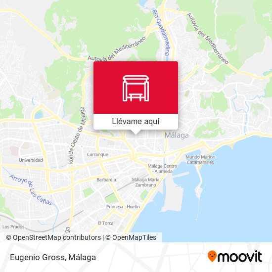 Mapa Eugenio Gross