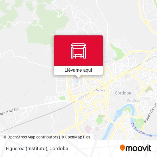 Mapa Figueroa (Instituto)