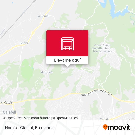 Mapa Narcís - Gladiol