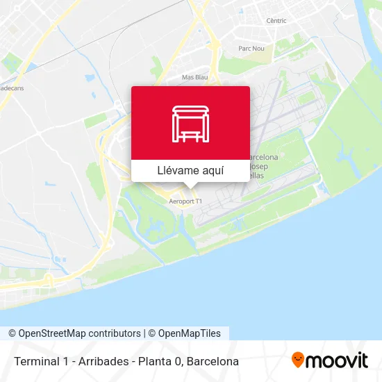 Mapa Terminal 1 - Arribades -  Planta 0