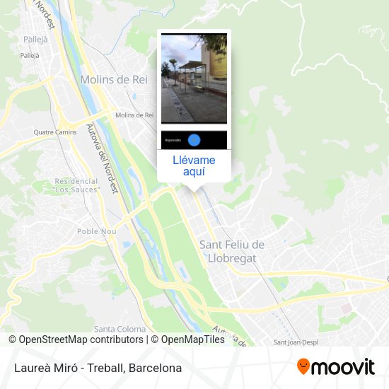 Mapa Laureà Miró - Treball