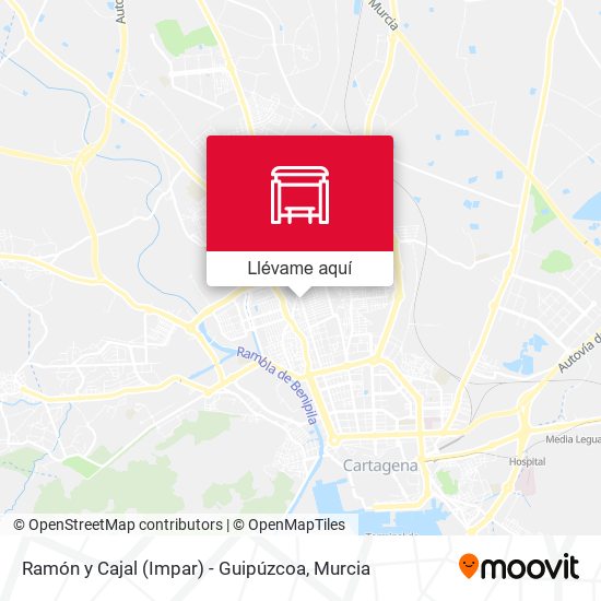 Mapa Ramón y Cajal (Impar) - Guipúzcoa