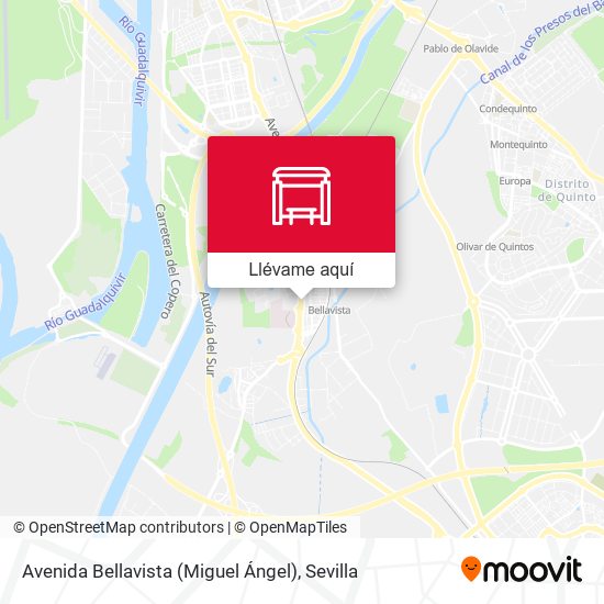 Mapa Avenida Bellavista (Miguel Ángel)