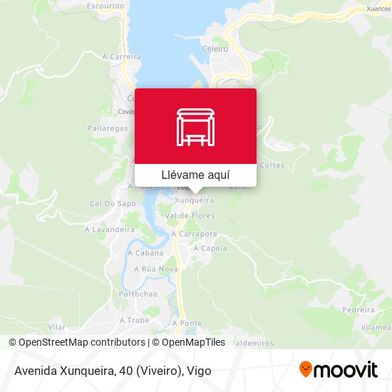 Mapa Avenida Xunqueira, 40 (Viveiro)
