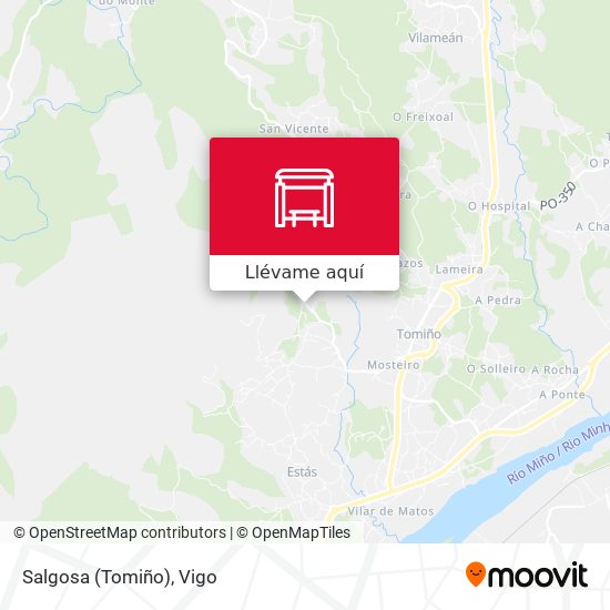 Mapa Salgosa (Tomiño)