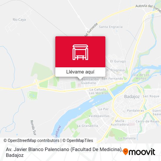 Mapa Av. Javier Blanco Palenciano (Facultad De Medicina)