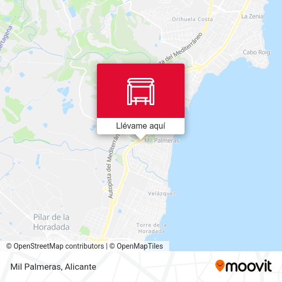 Mapa Mil Palmeras