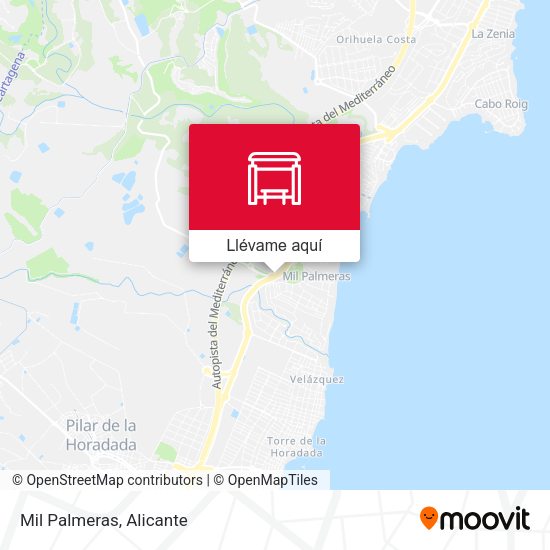 Mapa Mil Palmeras