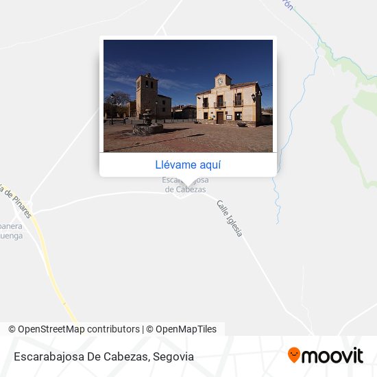 Mapa Escarabajosa De Cabezas