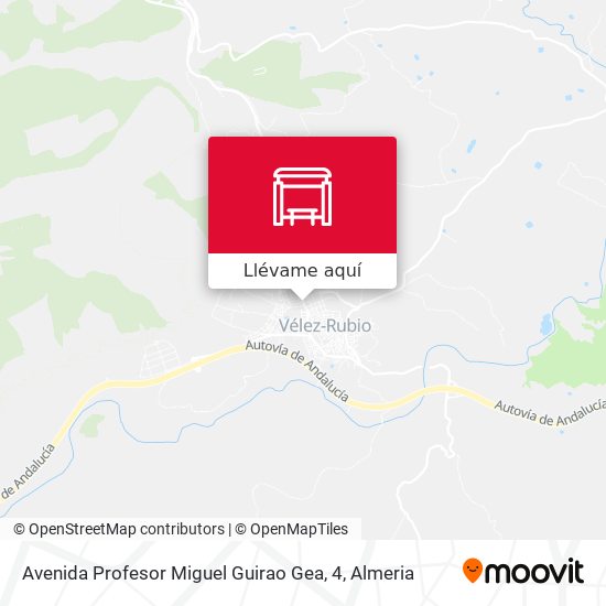 Mapa Avenida Profesor Miguel Guirao Gea, 4