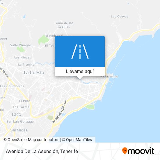Mapa Avenida De La Asunción